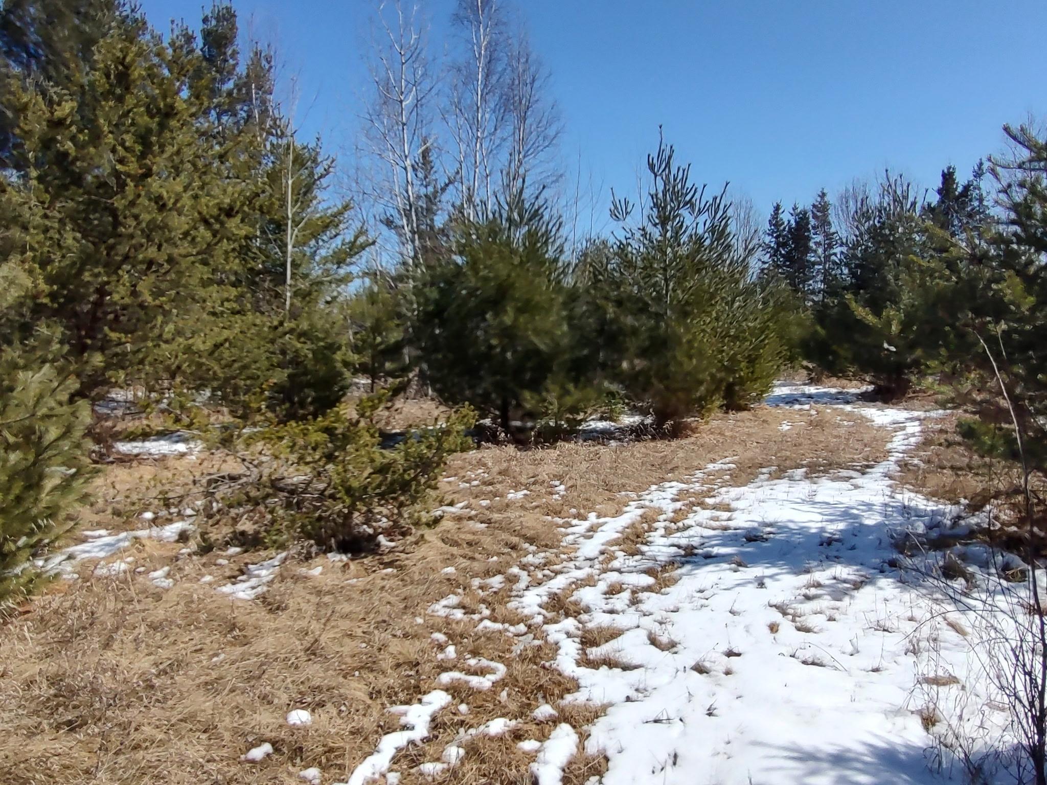 TBD Tranquility Drive, Laporte, Minnesota image 7