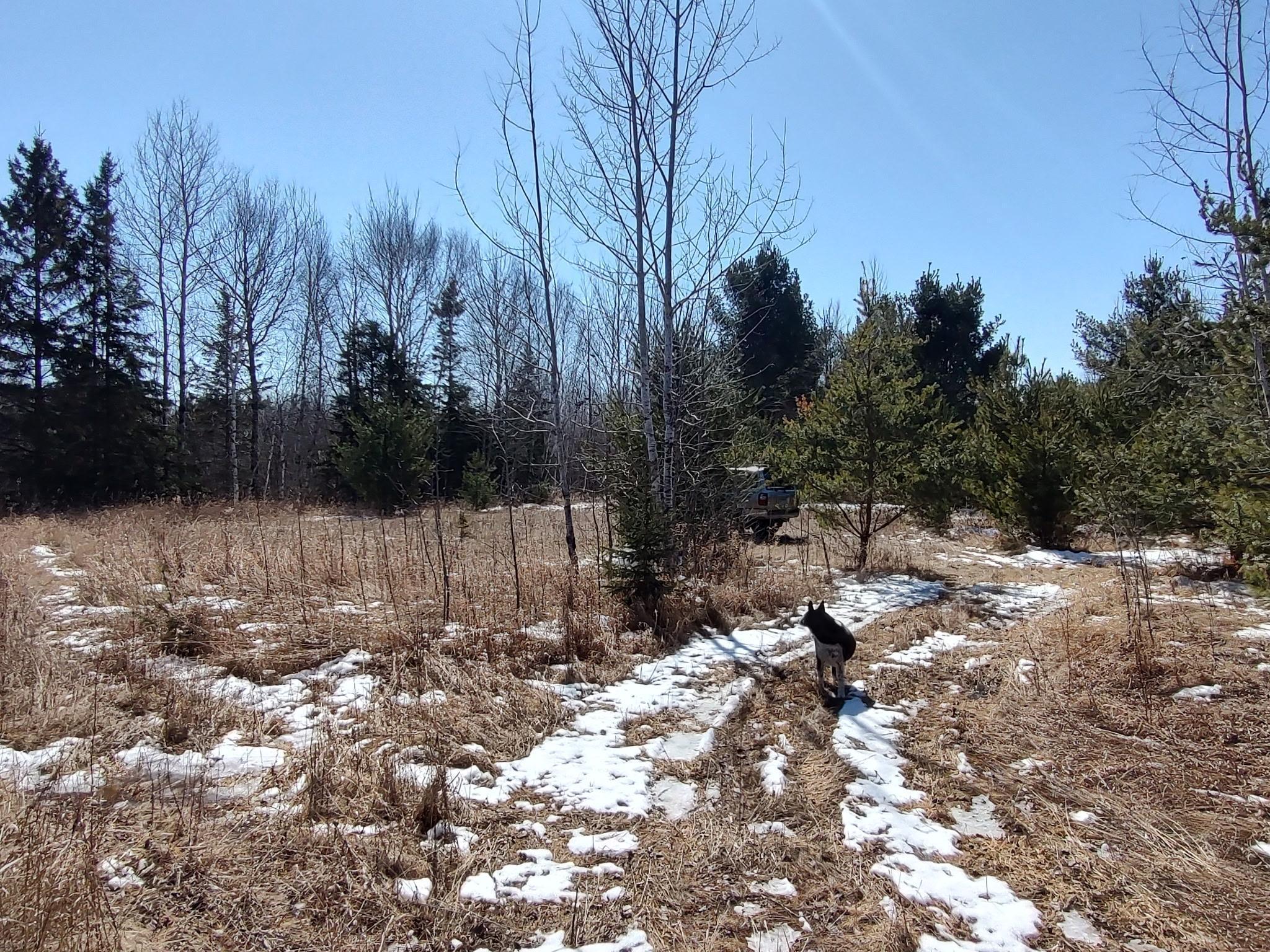 TBD Tranquility Drive, Laporte, Minnesota image 8