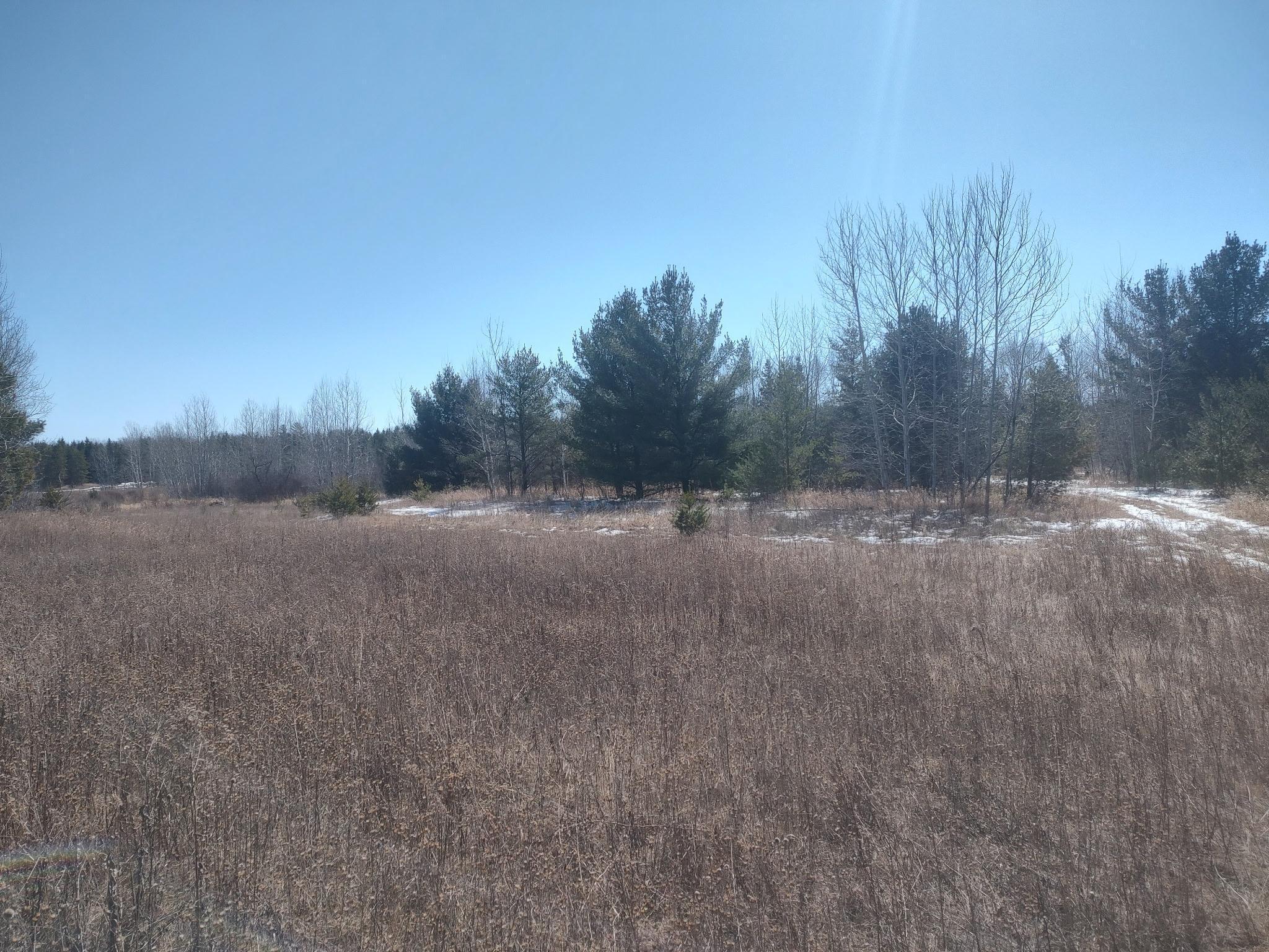 TBD Tranquility Drive, Laporte, Minnesota image 3