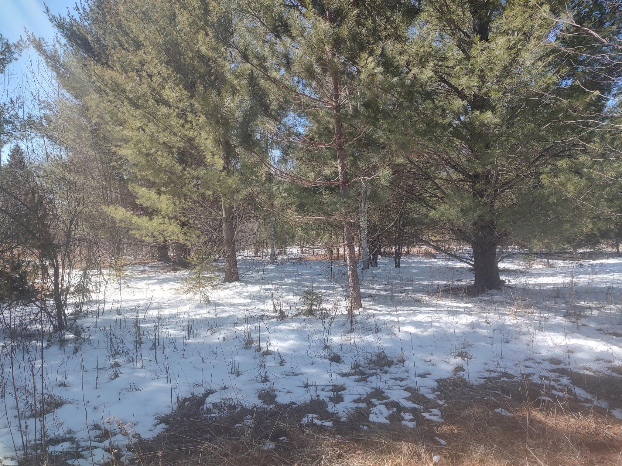 TBD Tranquility Drive, Laporte, Minnesota image 6