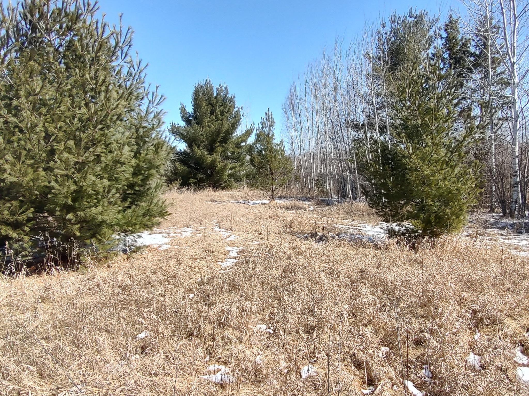 TBD Tranquility Drive, Laporte, Minnesota image 12