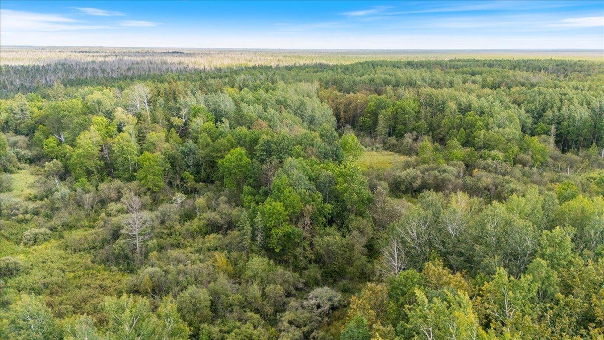 XXX 1262ac Pine Island State Forest, Big Falls, Minnesota image 1