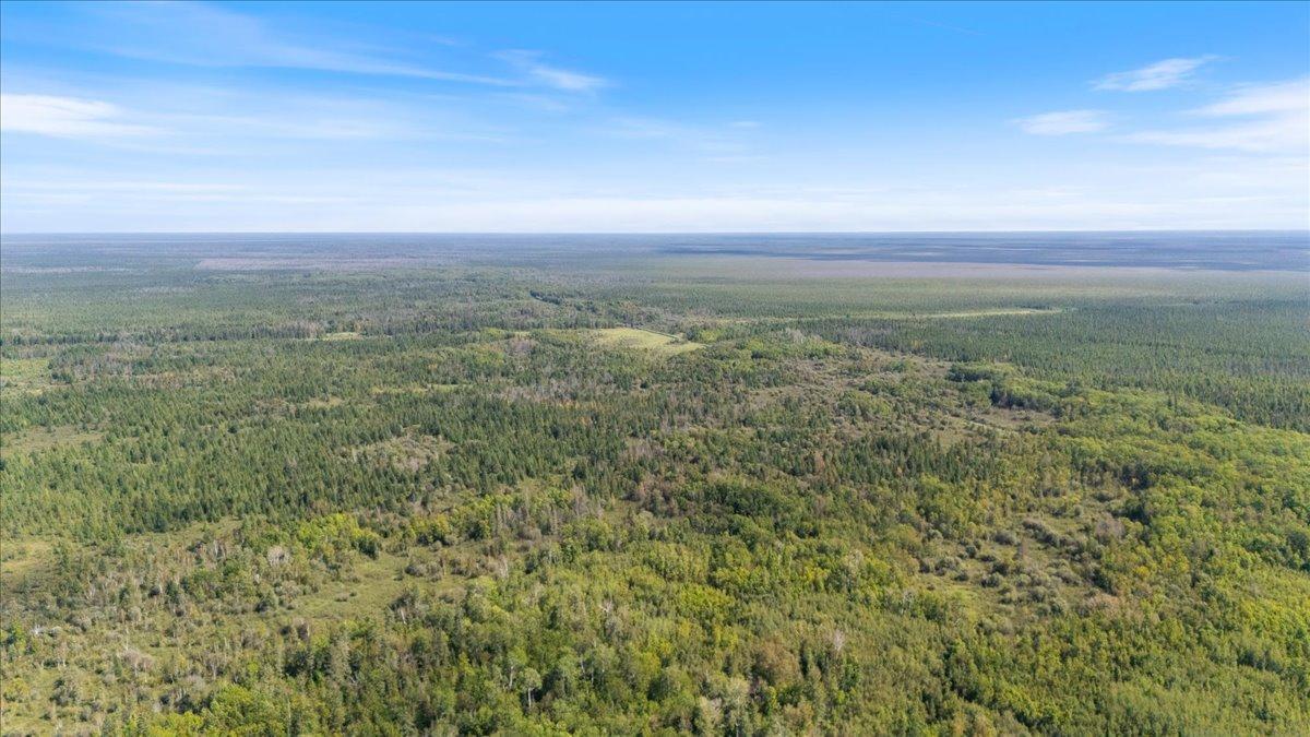 XXX 1262ac Pine Island State Forest, Big Falls, Minnesota image 9