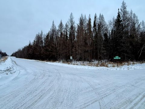 Vacant Land For Sale - TBD Samuelson Road<br/> Angora, MN 55703