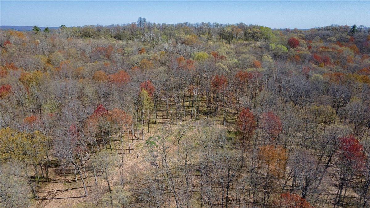 Lots 45 & 6 Anderson Hill Lane, Boyceville, Wisconsin image 3