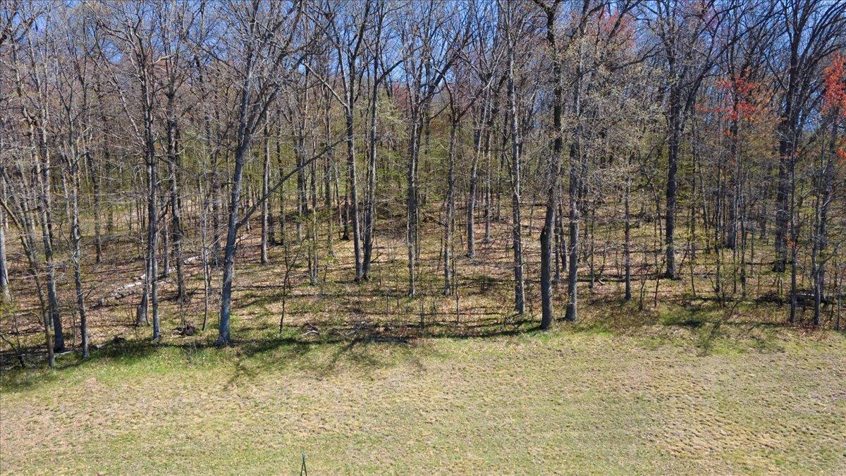 Lots 45 & 6 Anderson Hill Lane, Boyceville, Wisconsin image 9