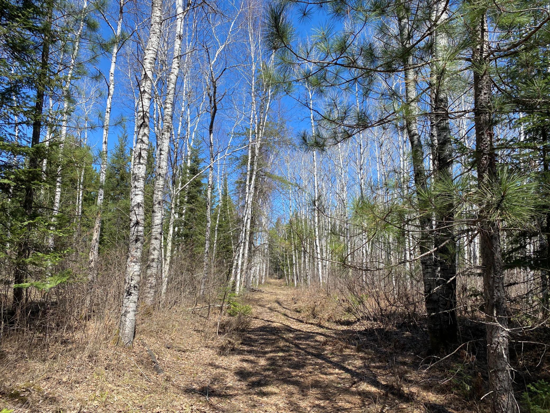 TBD Highway 65, Britt, Minnesota image 3