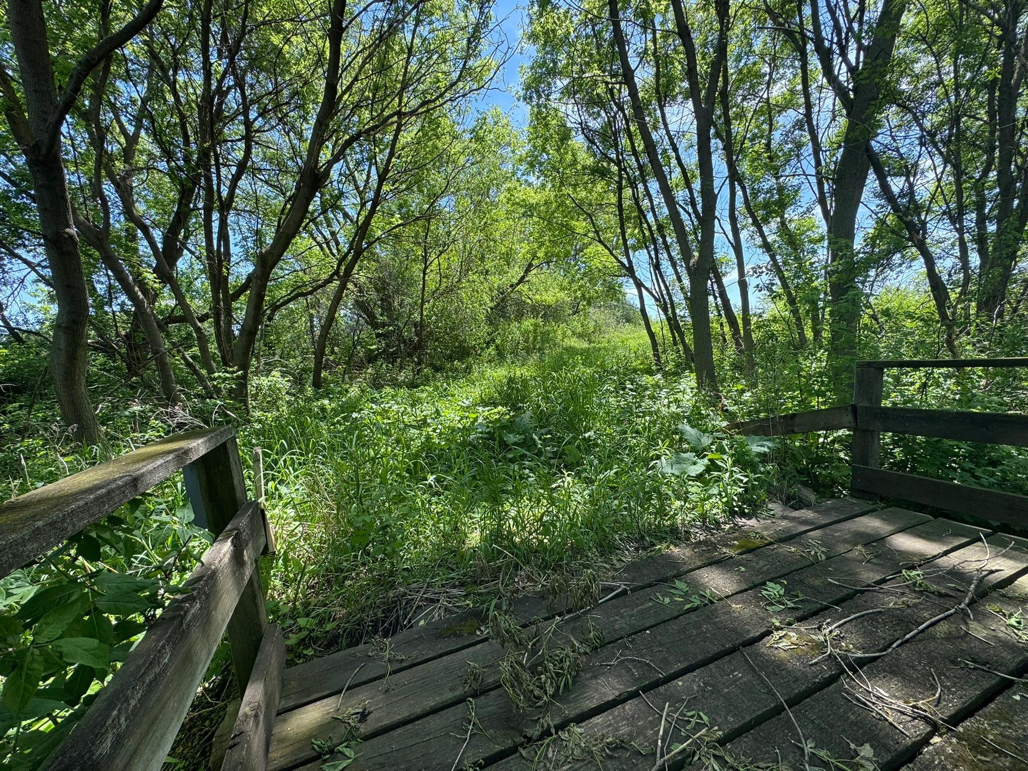 17XX 9th Avenue, Faribault, Minnesota image 11
