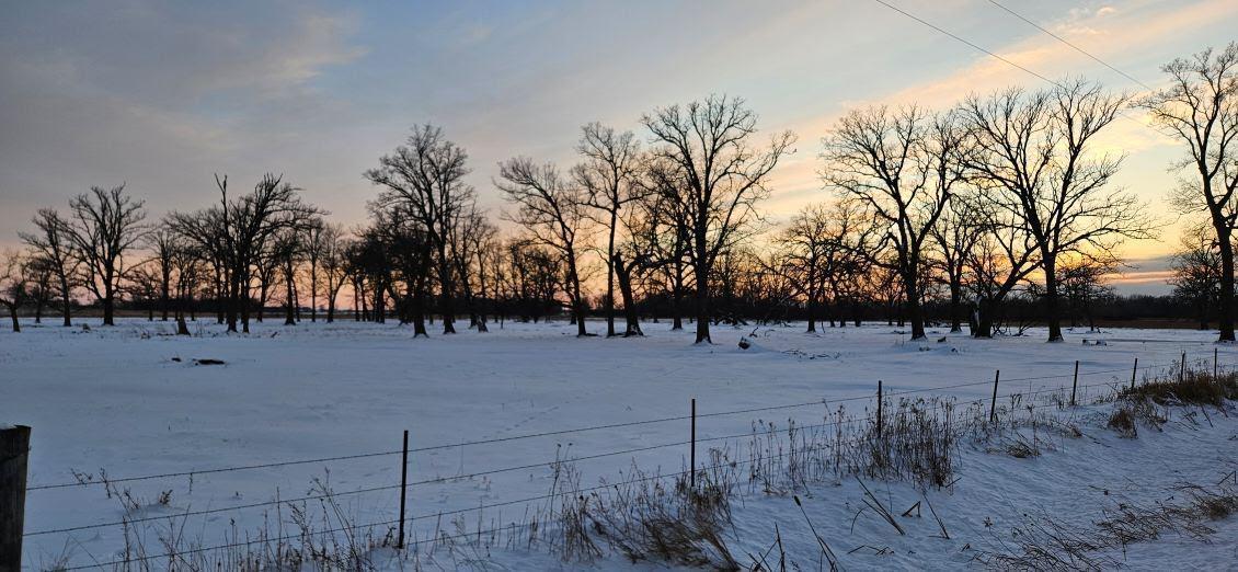 Parcel 5 Willow Road, Carlos, Minnesota image 6