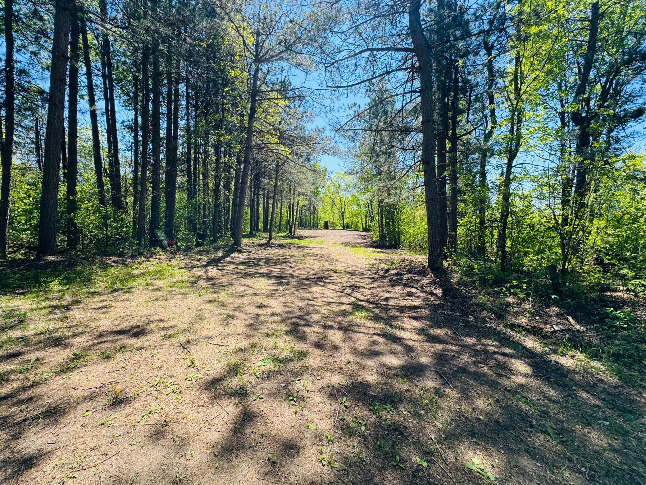 Lot 2 Hason Lake Road, Grand Rapids, Minnesota image 15