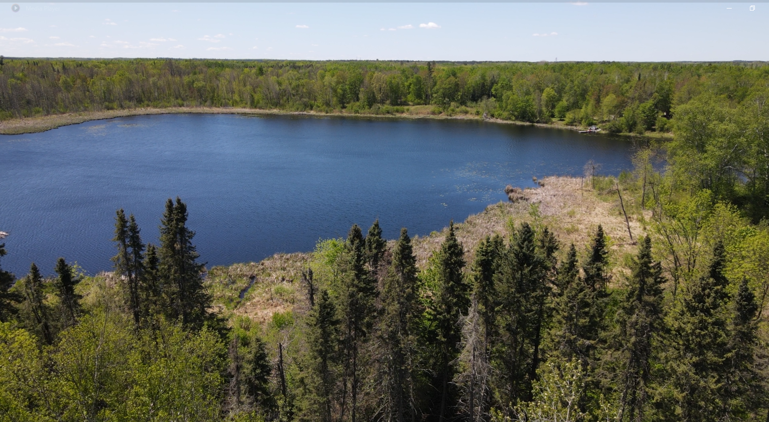 Lot 2 Hason Lake Road, Grand Rapids, Minnesota image 4