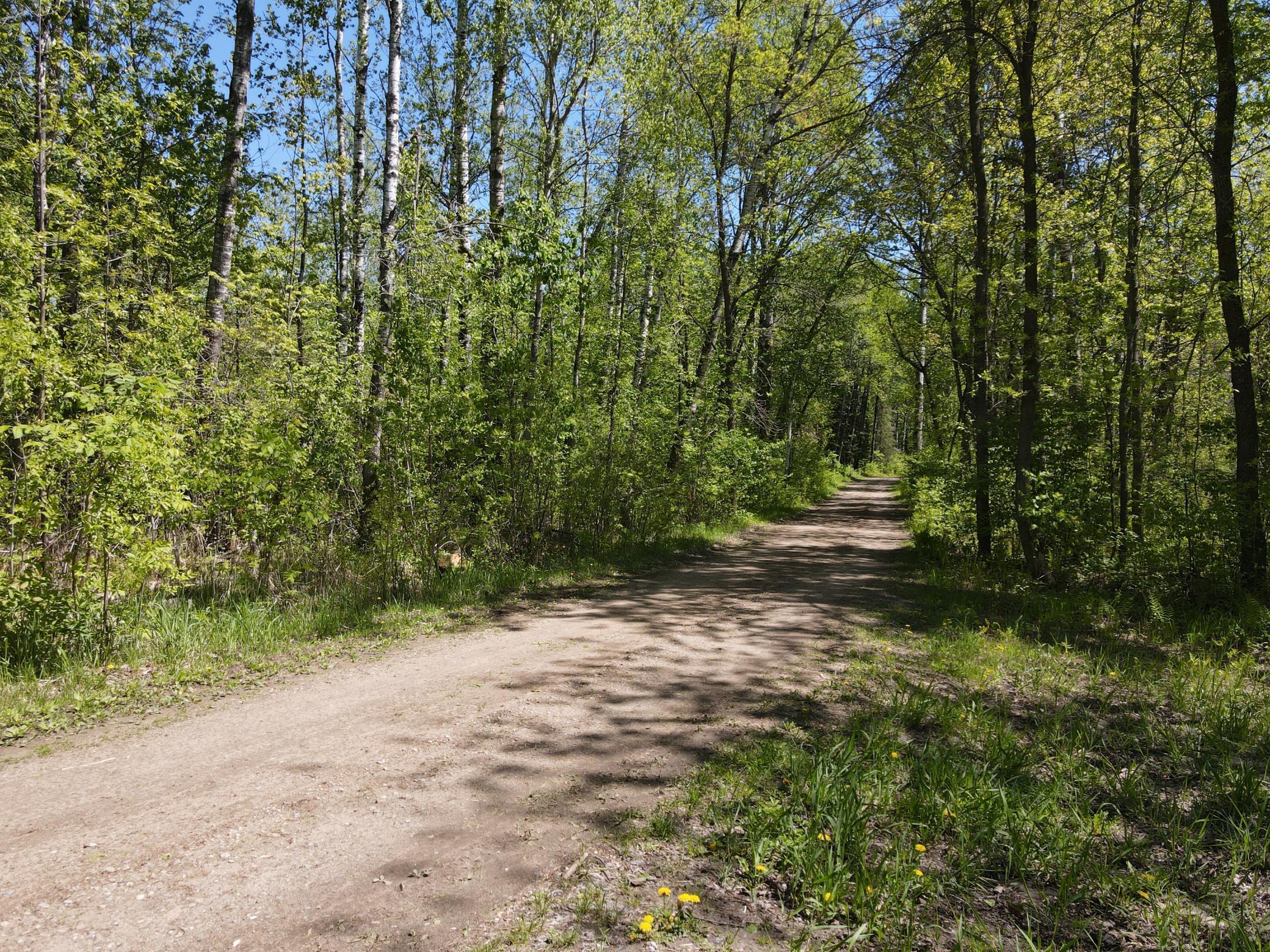 Lot 2 Hason Lake Road, Grand Rapids, Minnesota image 18