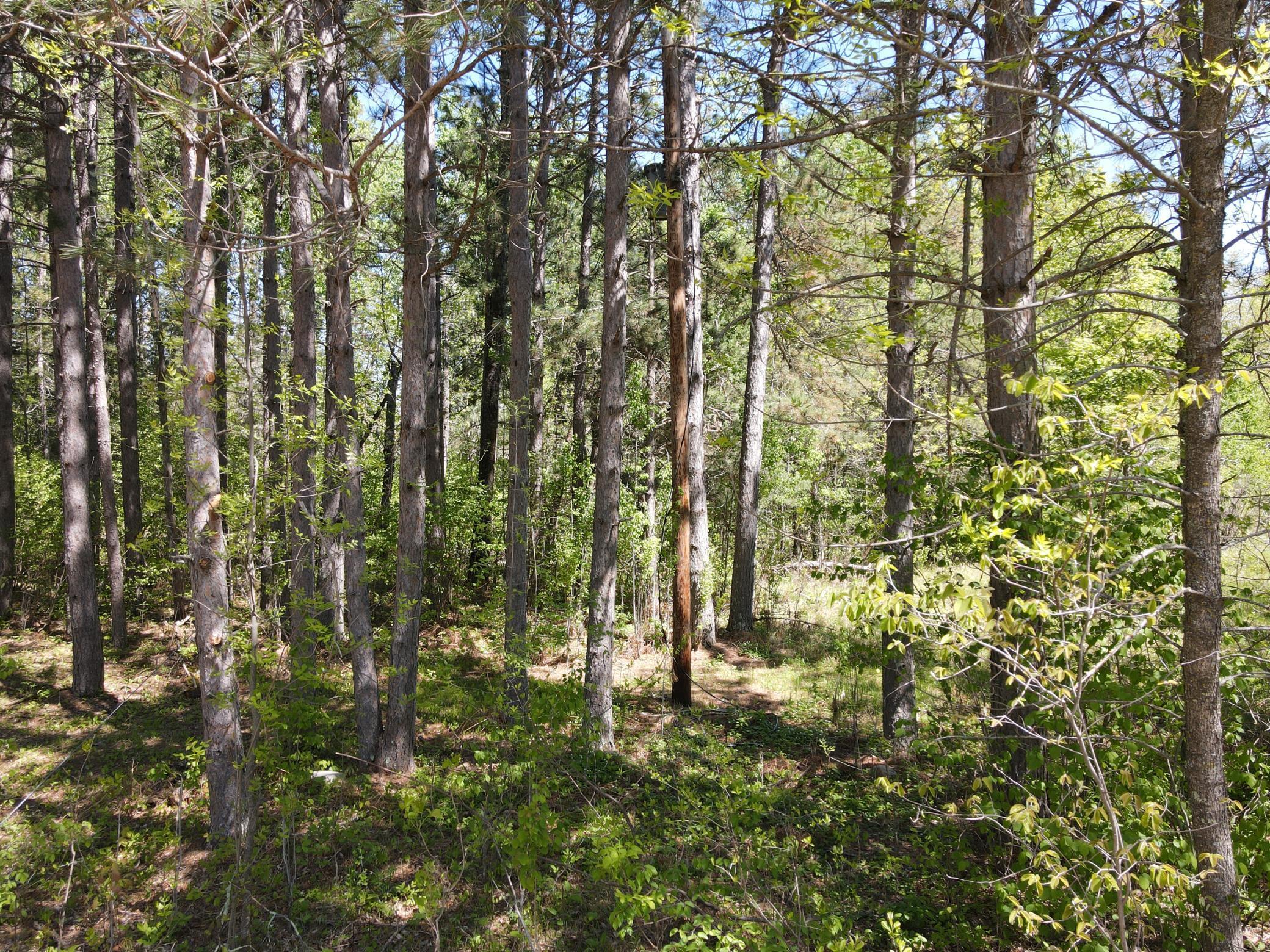 Lot 2 Hason Lake Road, Grand Rapids, Minnesota image 19