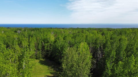 Vacant Land For Sale - 5377 Mcquade Road<br/> Duluth, MN 55804