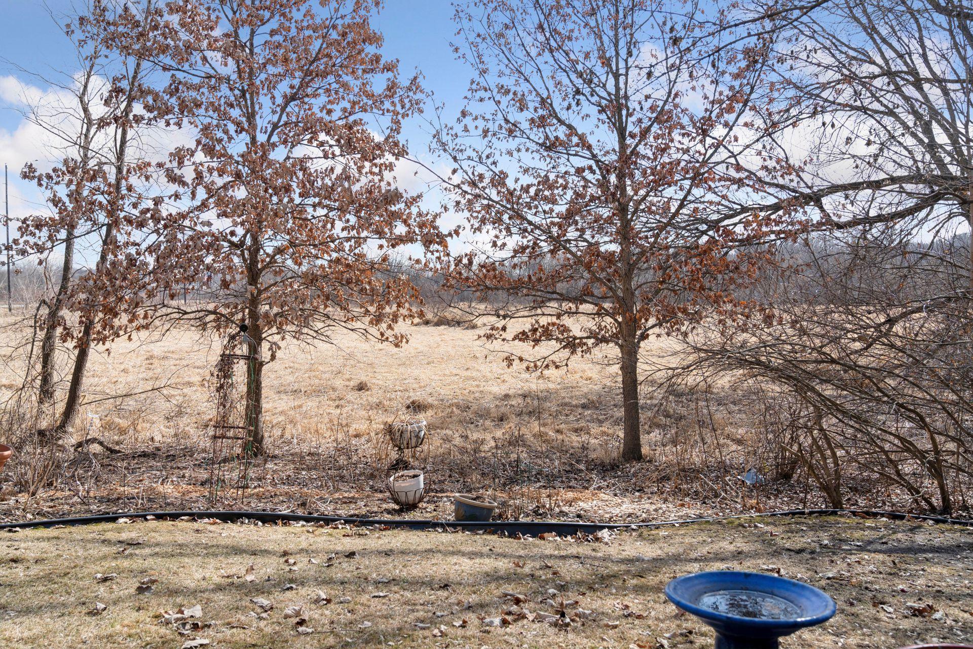17651 Southridge Court, Minnetonka, Minnesota image 36