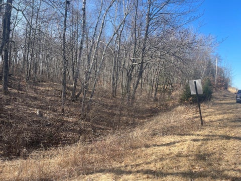 Vacant Land For Sale - LOTS 129-131 Ski Chalet Drive<br/> Breezy Point, MN 56472