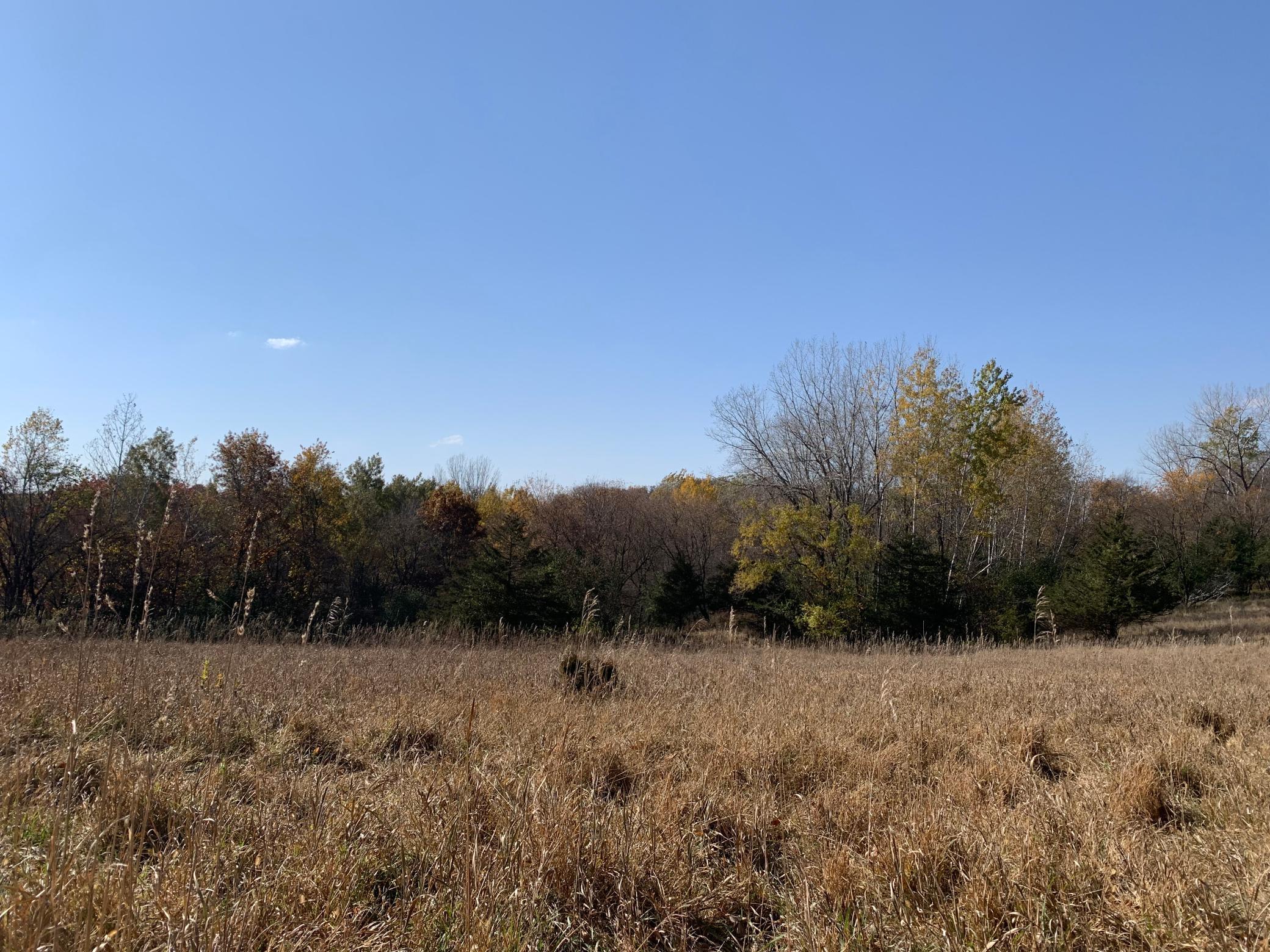TBD 75th Street, Rochester, Minnesota image 35
