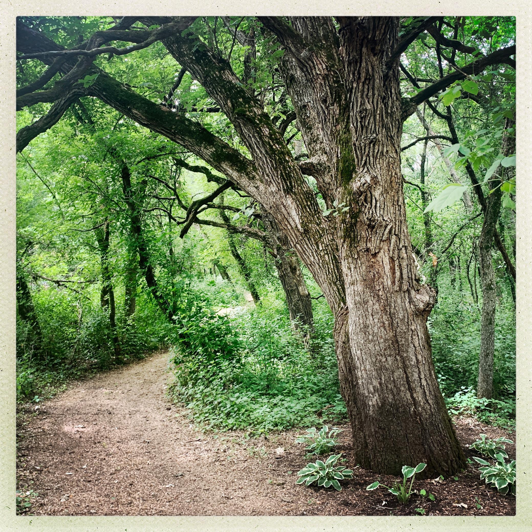 TBD 75th Street, Rochester, Minnesota image 14