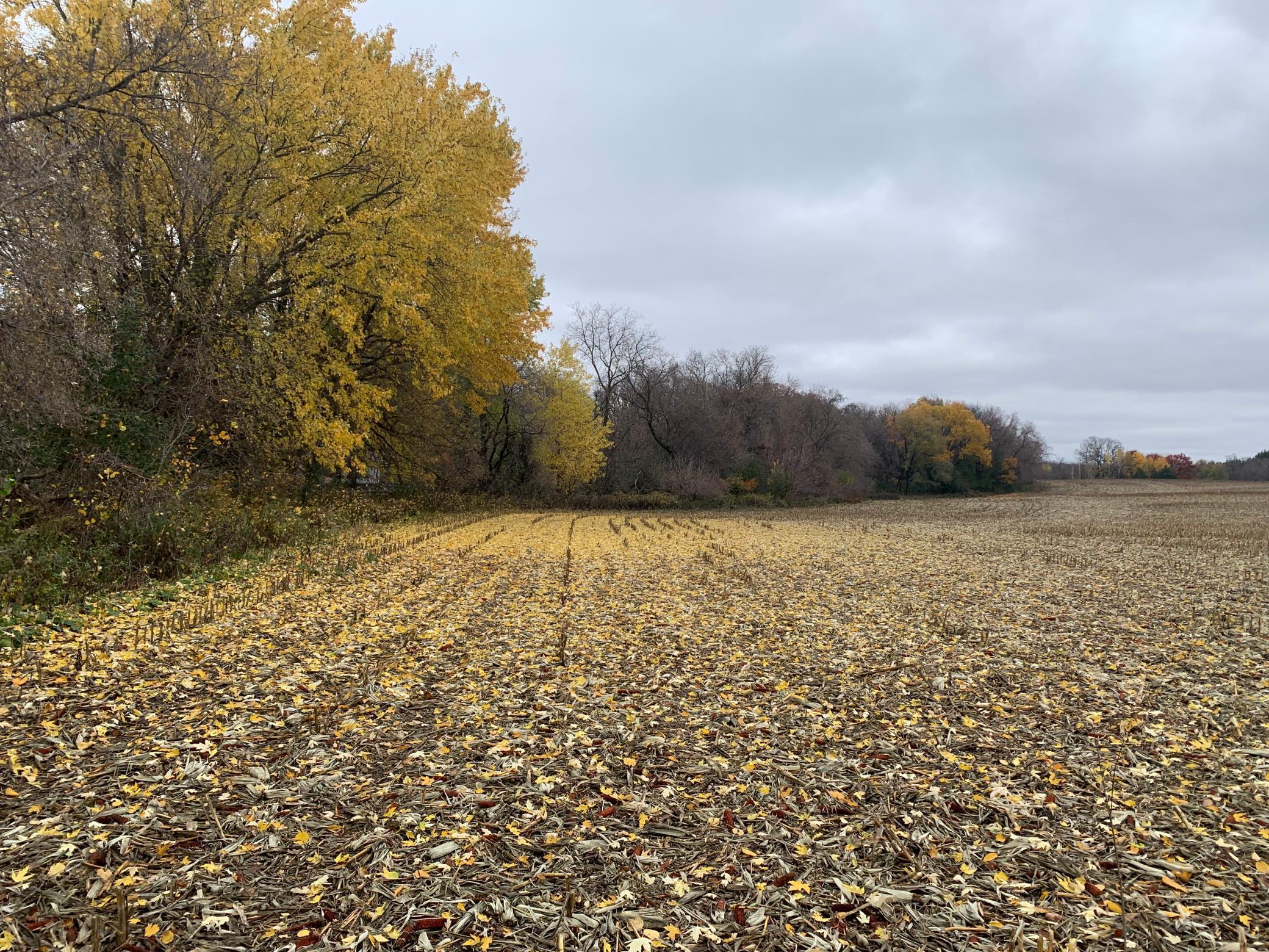 TBD 75th Street, Rochester, Minnesota image 34