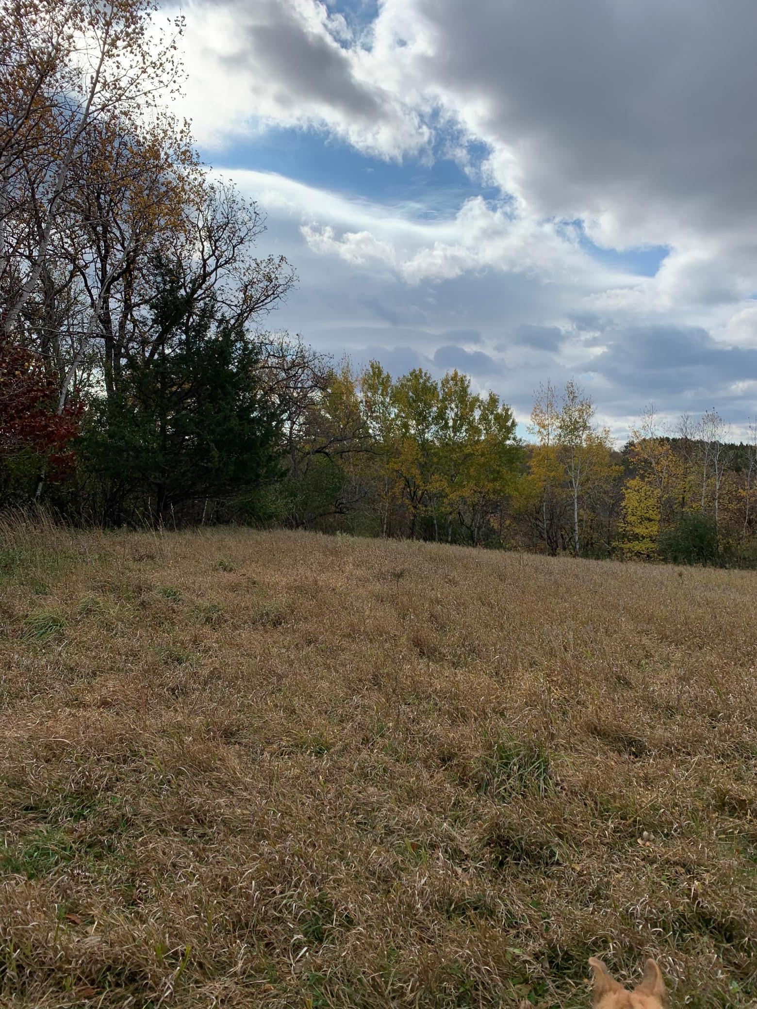 TBD 75th Street, Rochester, Minnesota image 36