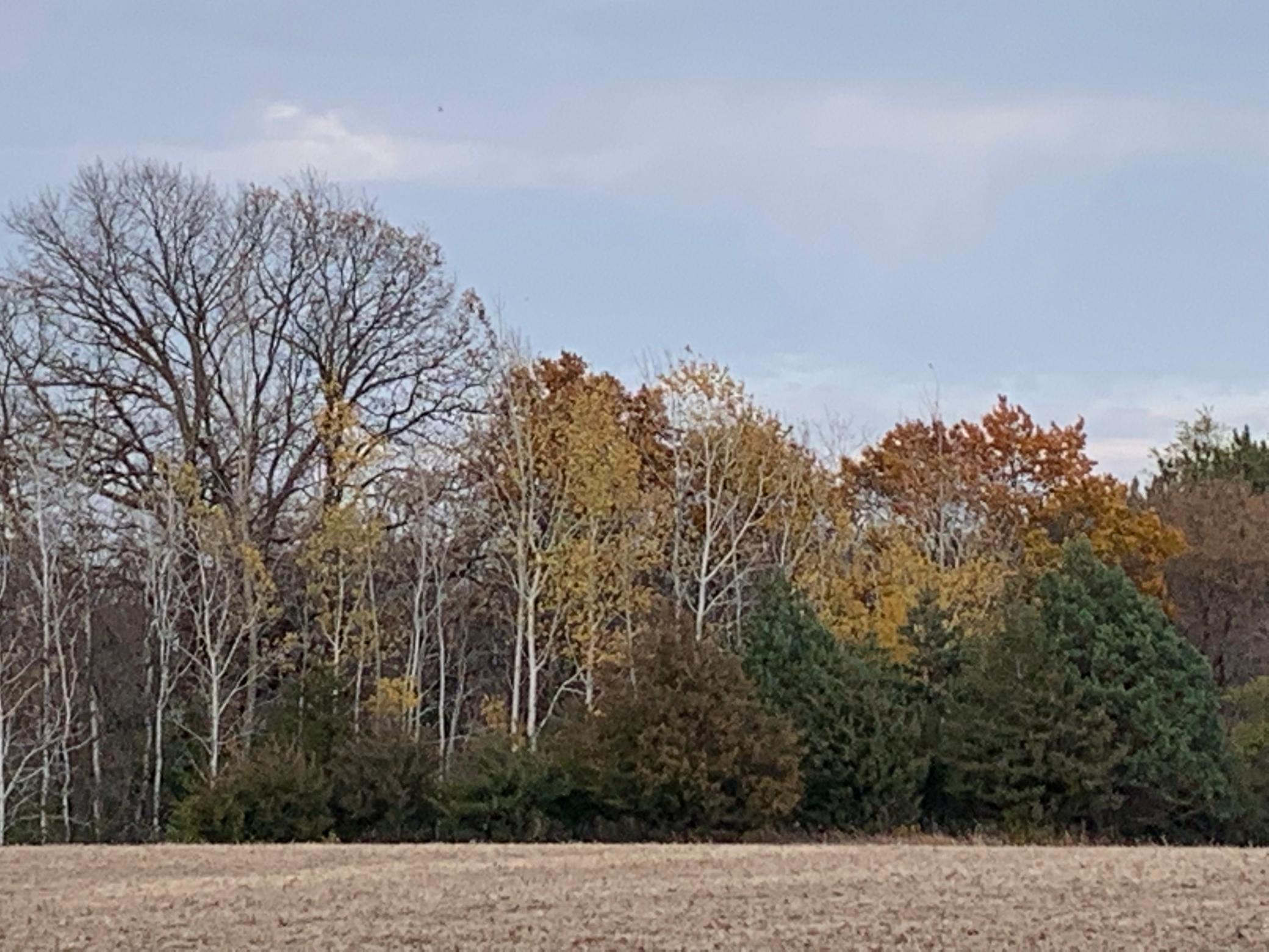 TBD 75th Street, Rochester, Minnesota image 39