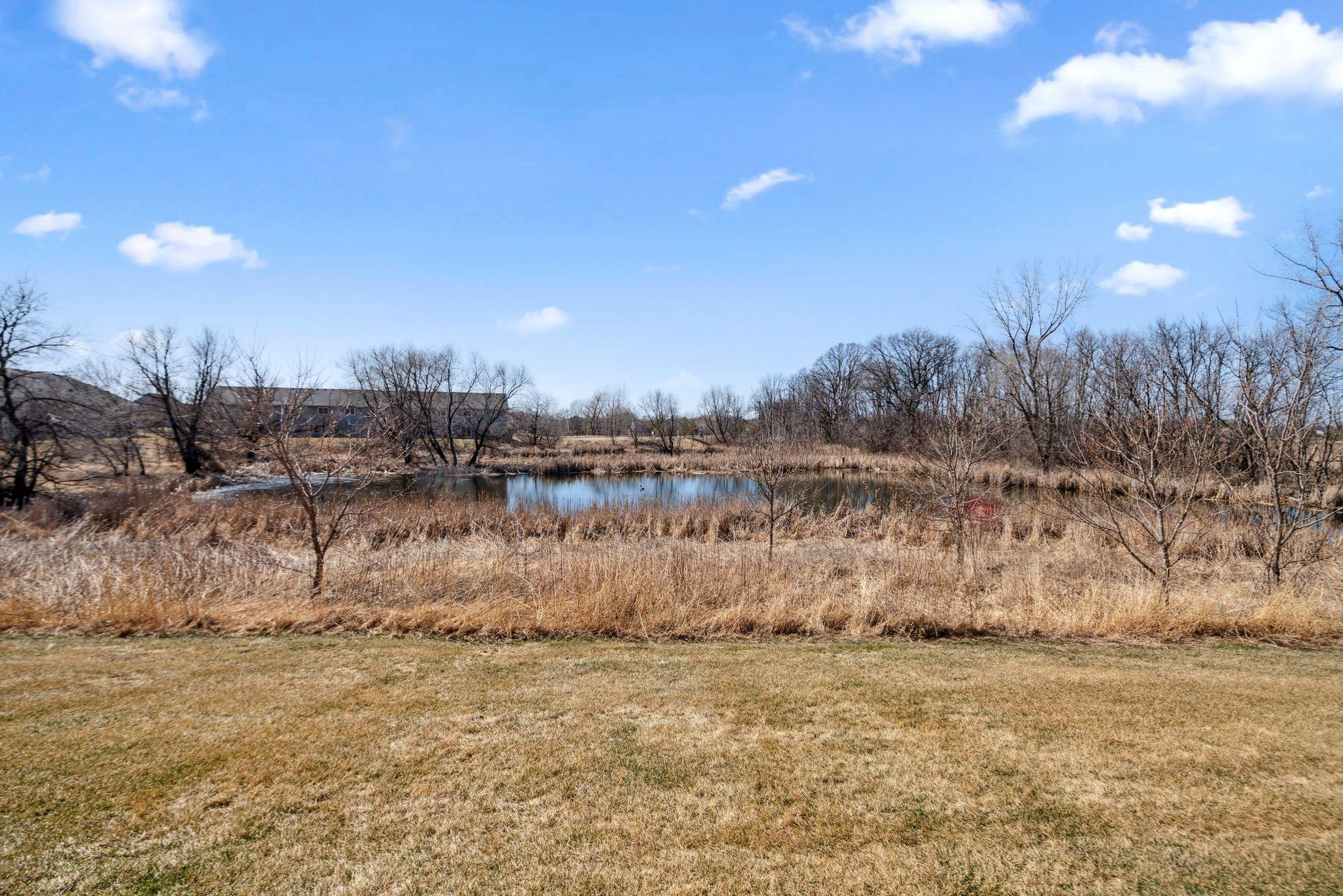 26534 Pond Court, Elko New Market, Minnesota image 4