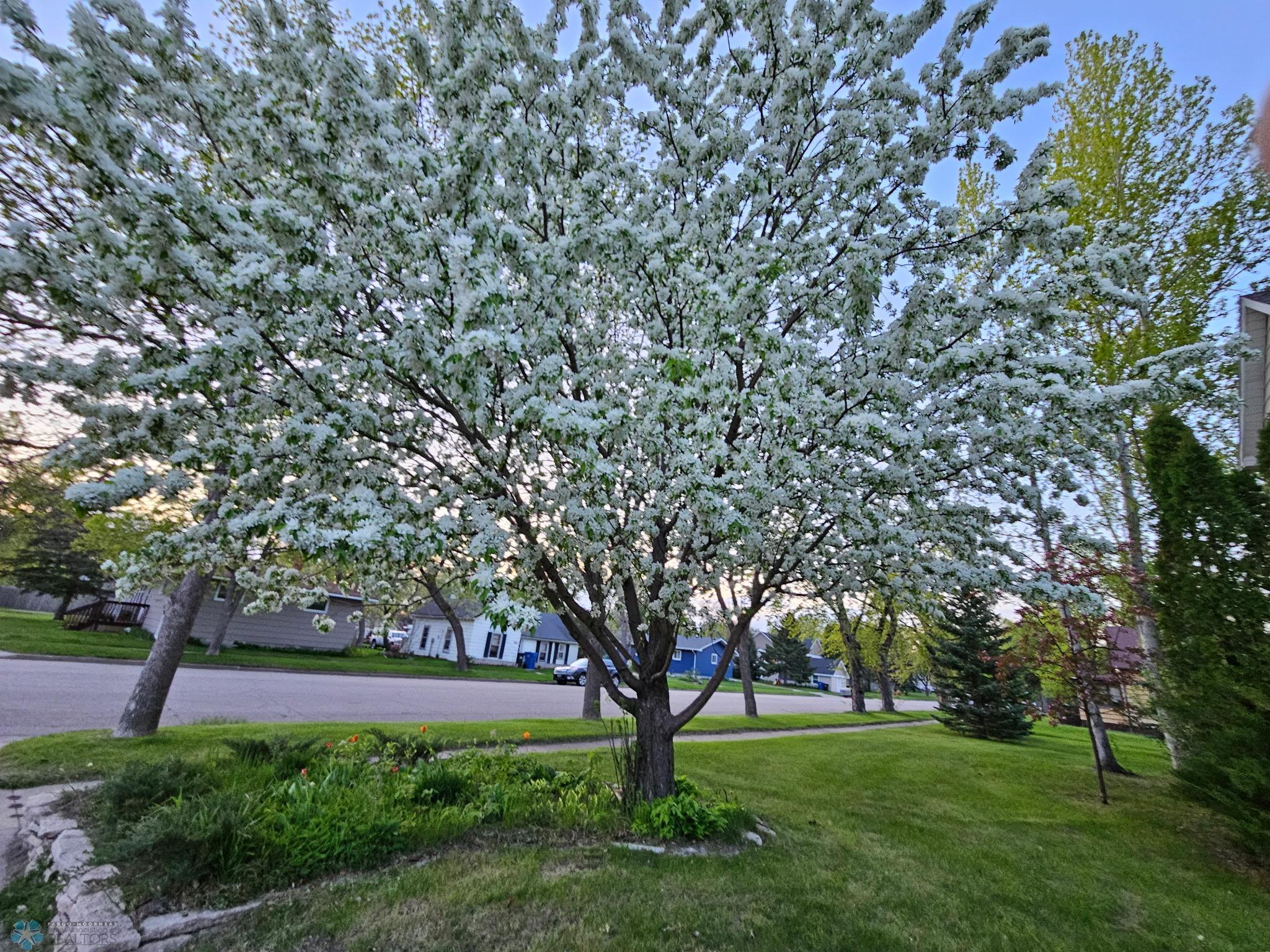 302 2nd Avenue, Barnesville, Minnesota image 35