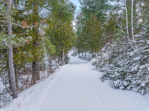 Vacant Land For Sale - TBD Trezona Drive<br/> Ely, MN 55731