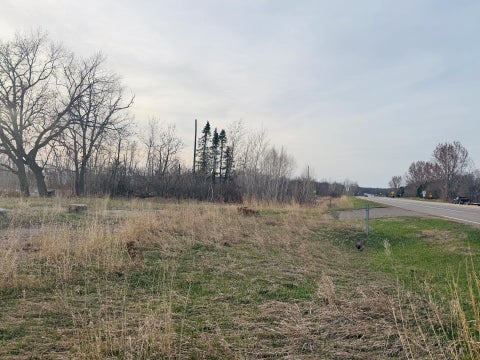 Vacant Land For Sale - 44465 Us Hwy 169<br/> Onamia, MN 56359