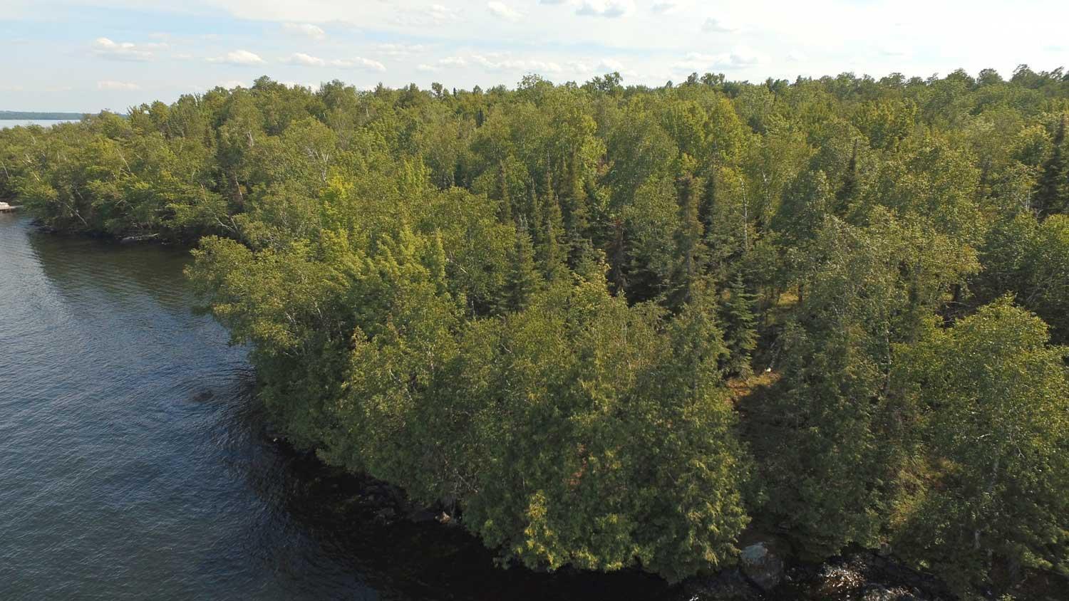 Parcel C Taylors Island, Cook, Minnesota image 8