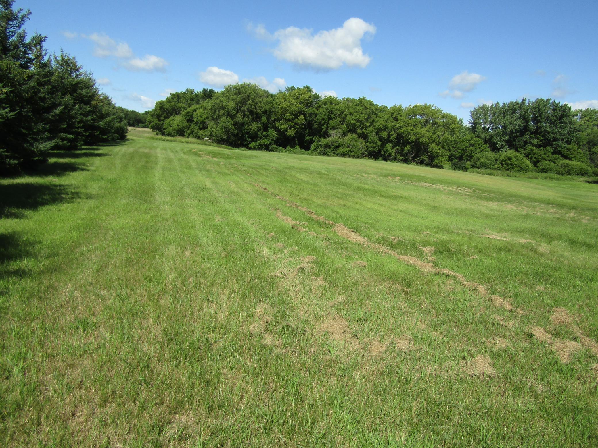 742 200th Avenue, Appleton, Minnesota image 30
