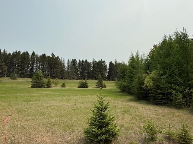 TBD NW Town Hall Road, Bemidji, Minnesota image 2