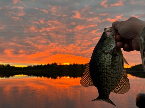 Vacant Land For Sale - TBD Wilderness Way<br/> Cook, MN 55723