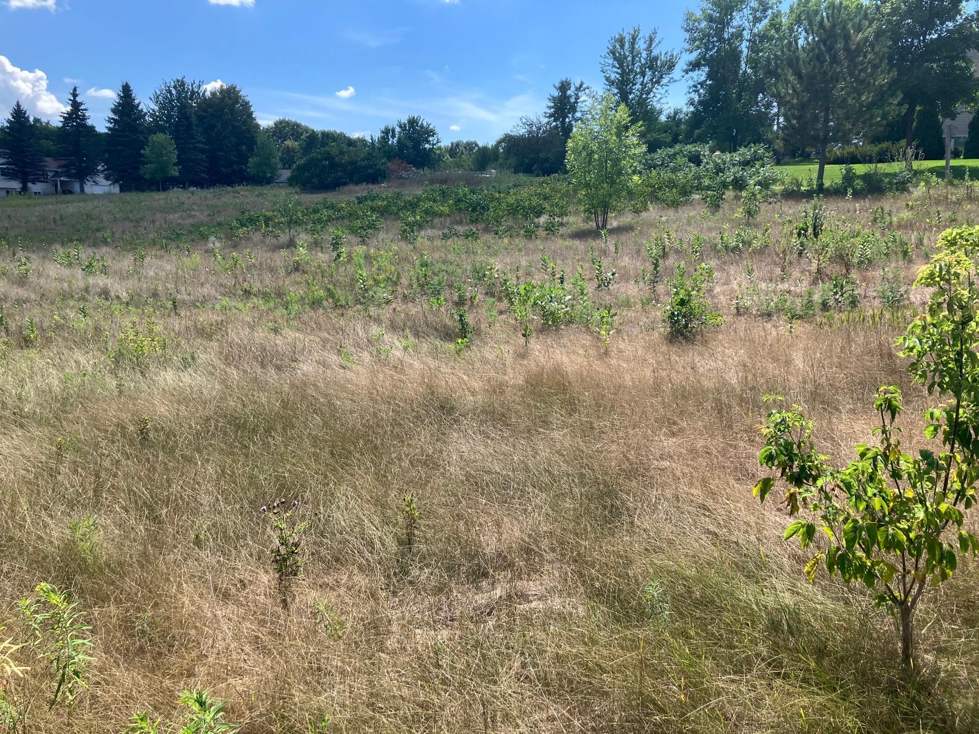 Xxxxx Oakview Heights Trail, Fergus Falls, Minnesota image 6