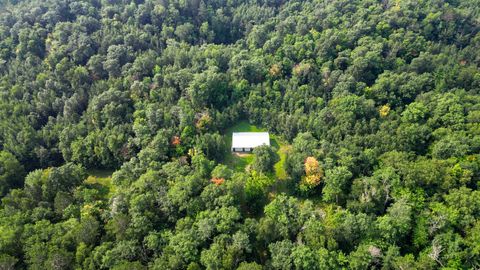 Vacant Land For Sale - TBD Co Hwy 39<br/> Osage, MN 56570