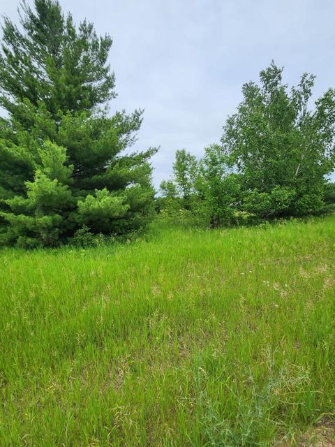 Vacant Land For Sale - 000 392nd Street<br/> Todd County, Browerville, MN 56438