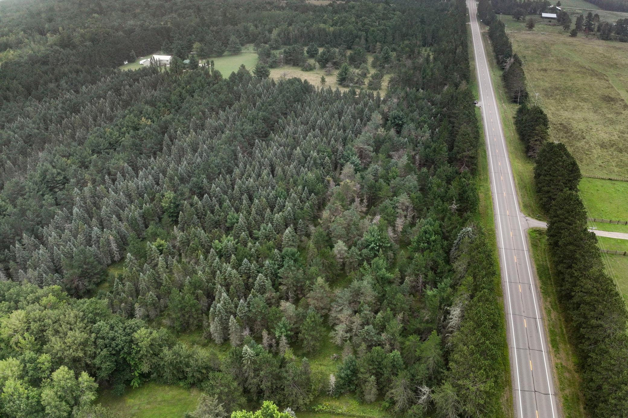 TBD State Highway 6, Emily, Minnesota image 14