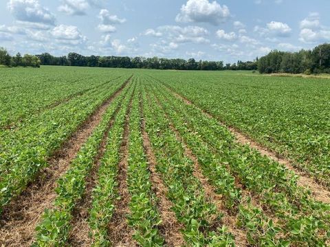 Vacant Land For Sale - TBD 160th St.<br/> Foreston, MN 56330