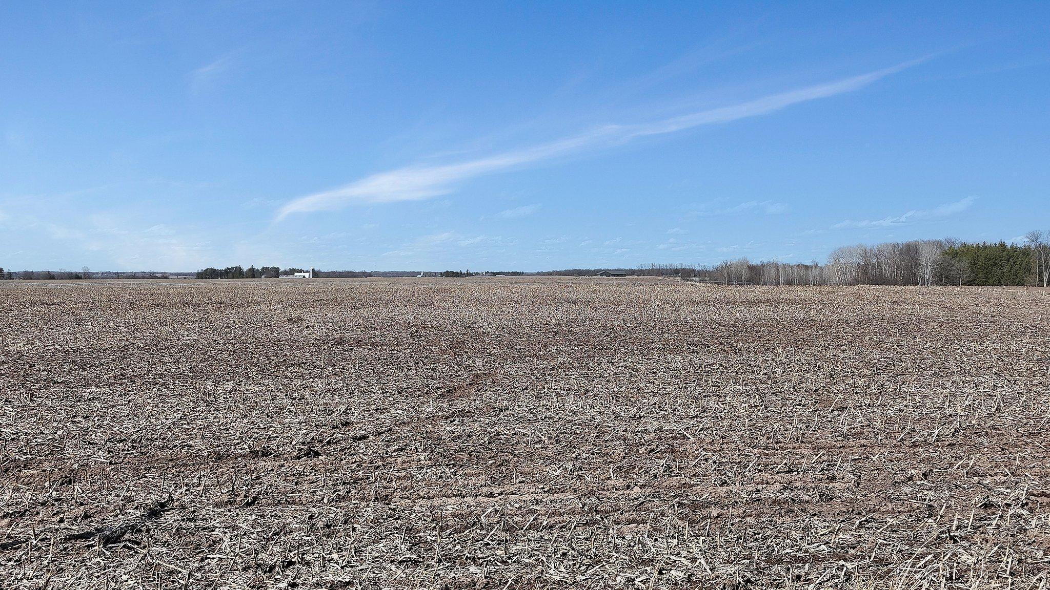8951 95th Street, Foley, Minnesota image 1