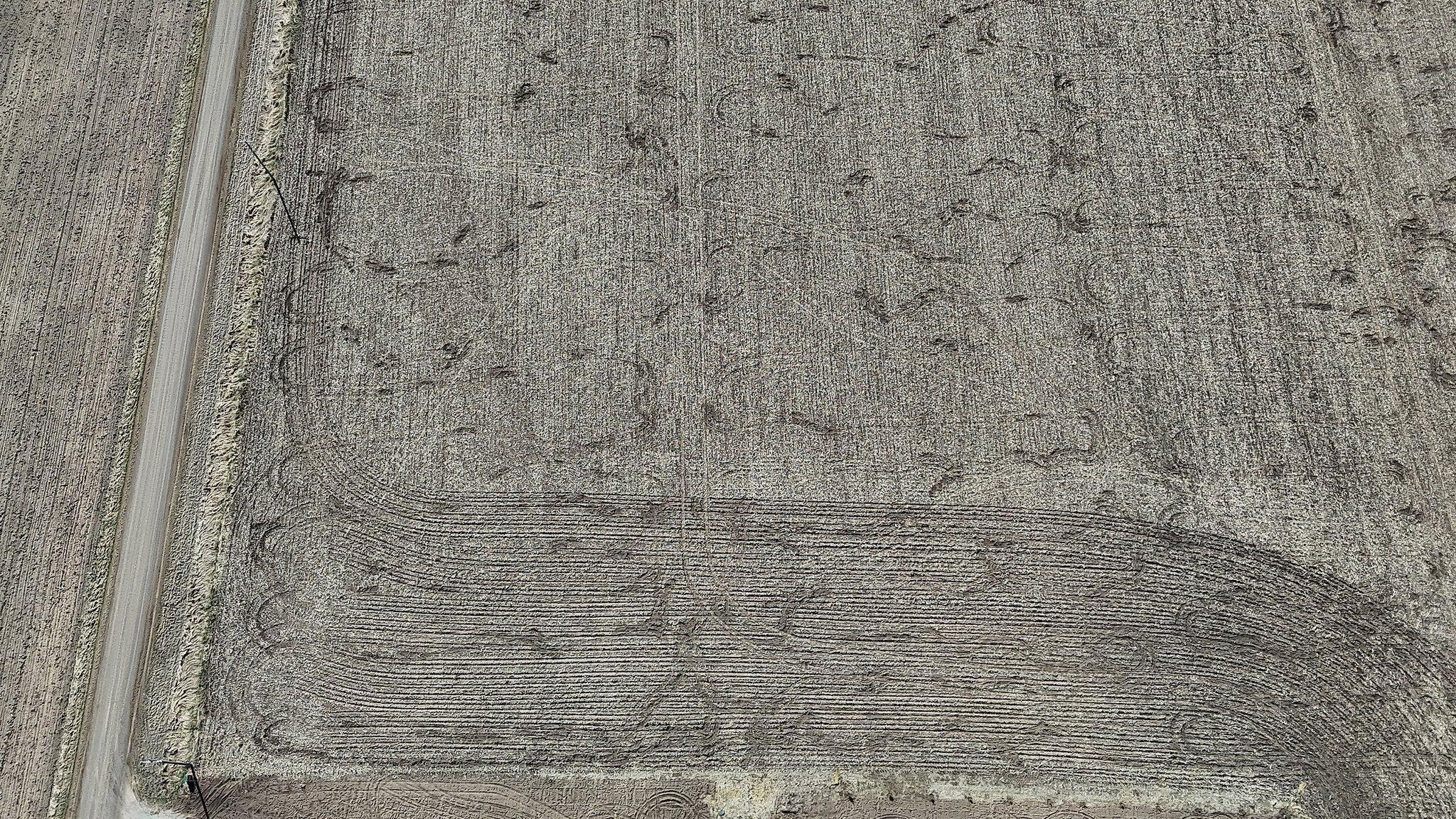 8951 95th Street, Foley, Minnesota image 13