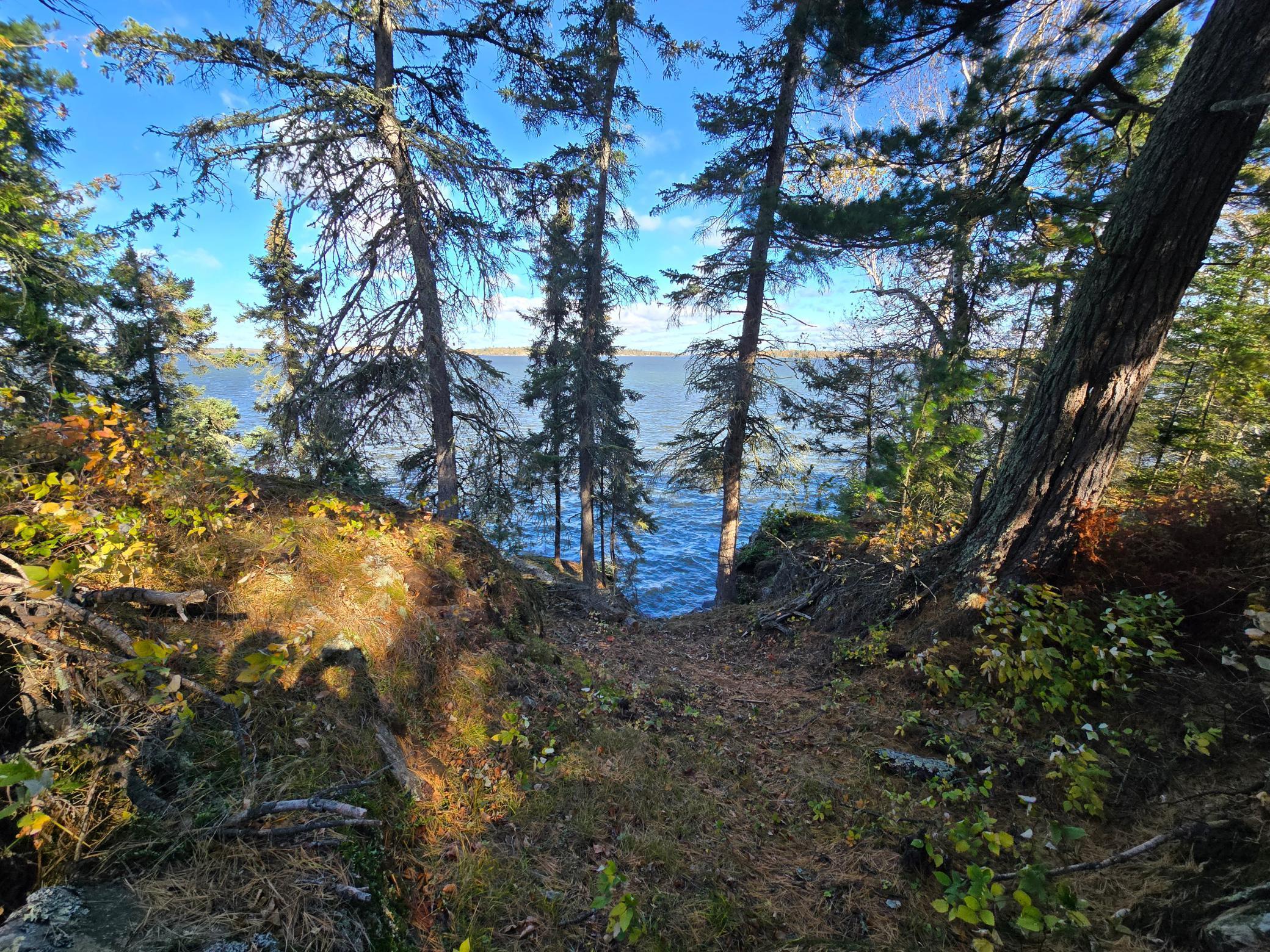 Tract 8 Brush Island, Angle Inlet, Minnesota image 22