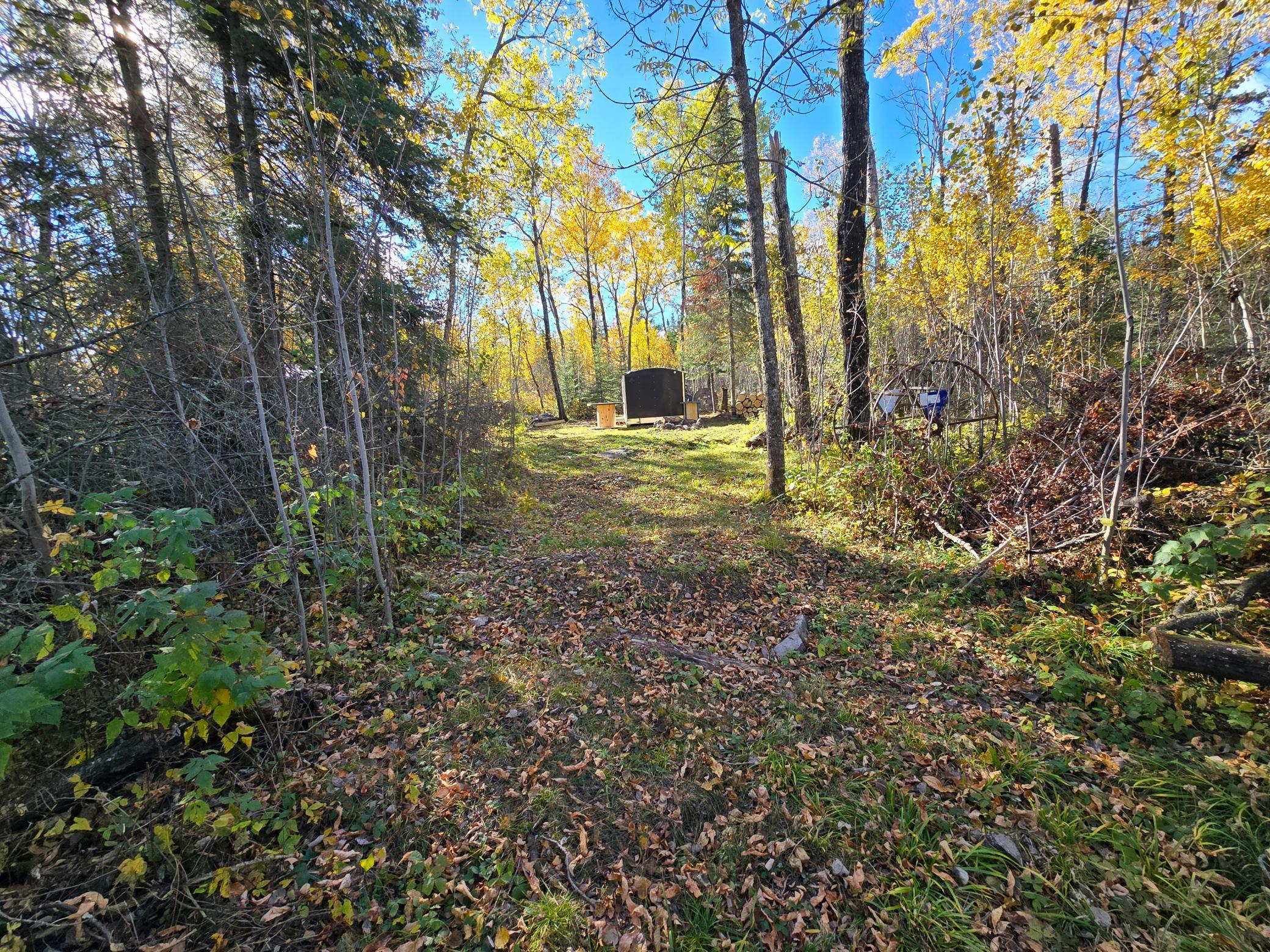 Tract 8 Brush Island, Angle Inlet, Minnesota image 3