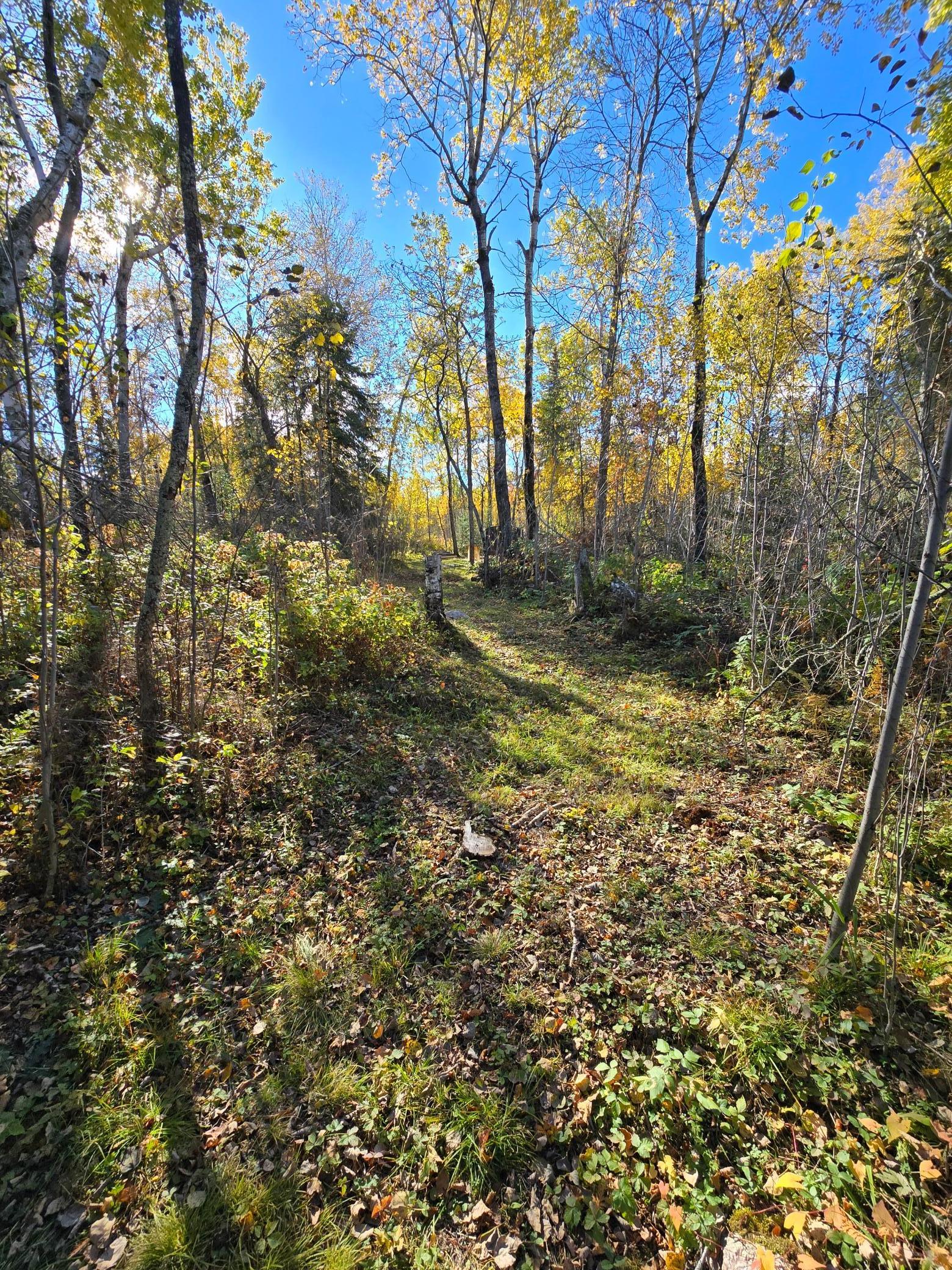 Tract 8 Brush Island, Angle Inlet, Minnesota image 7