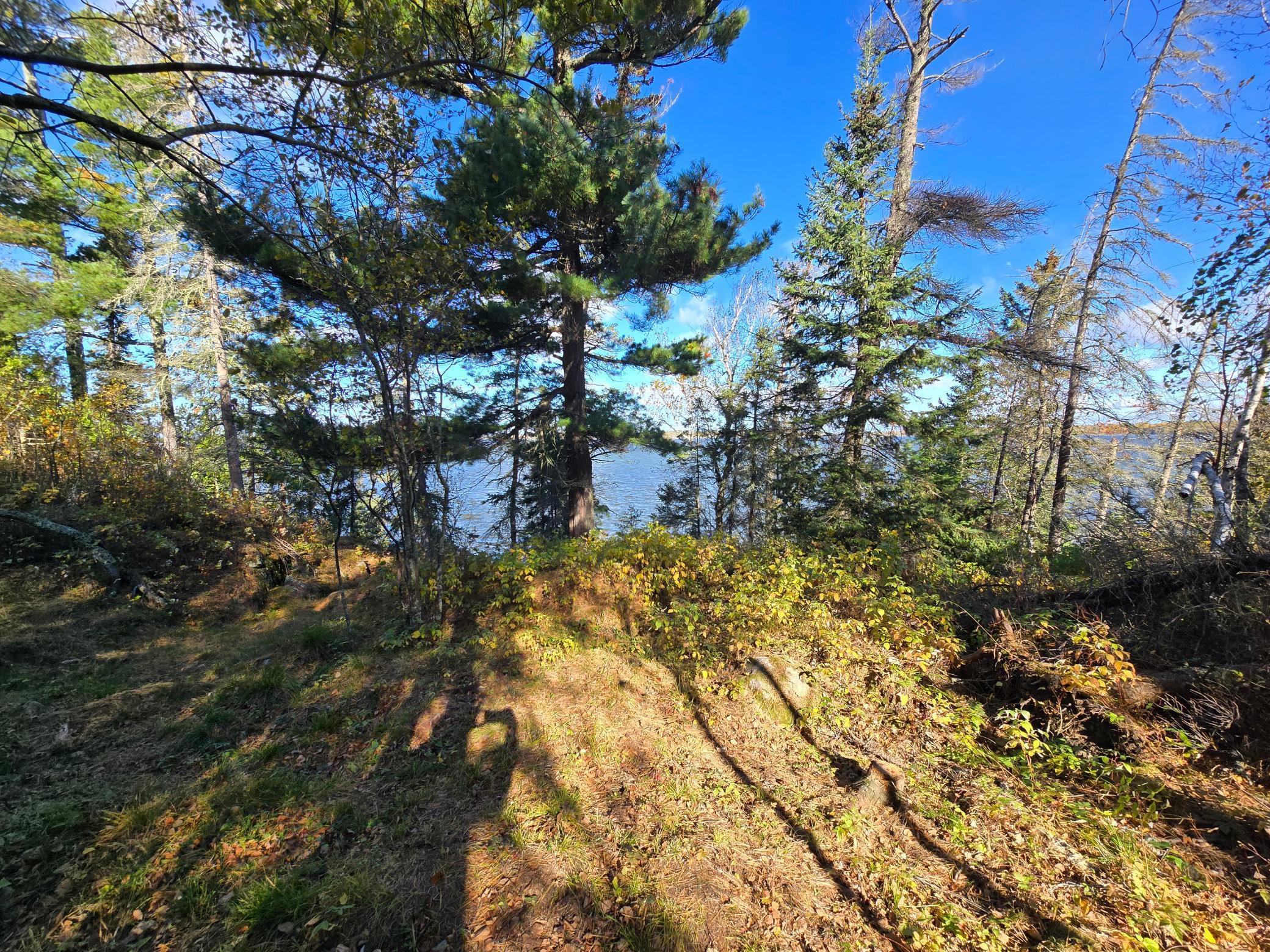 Tract 8 Brush Island, Angle Inlet, Minnesota image 21