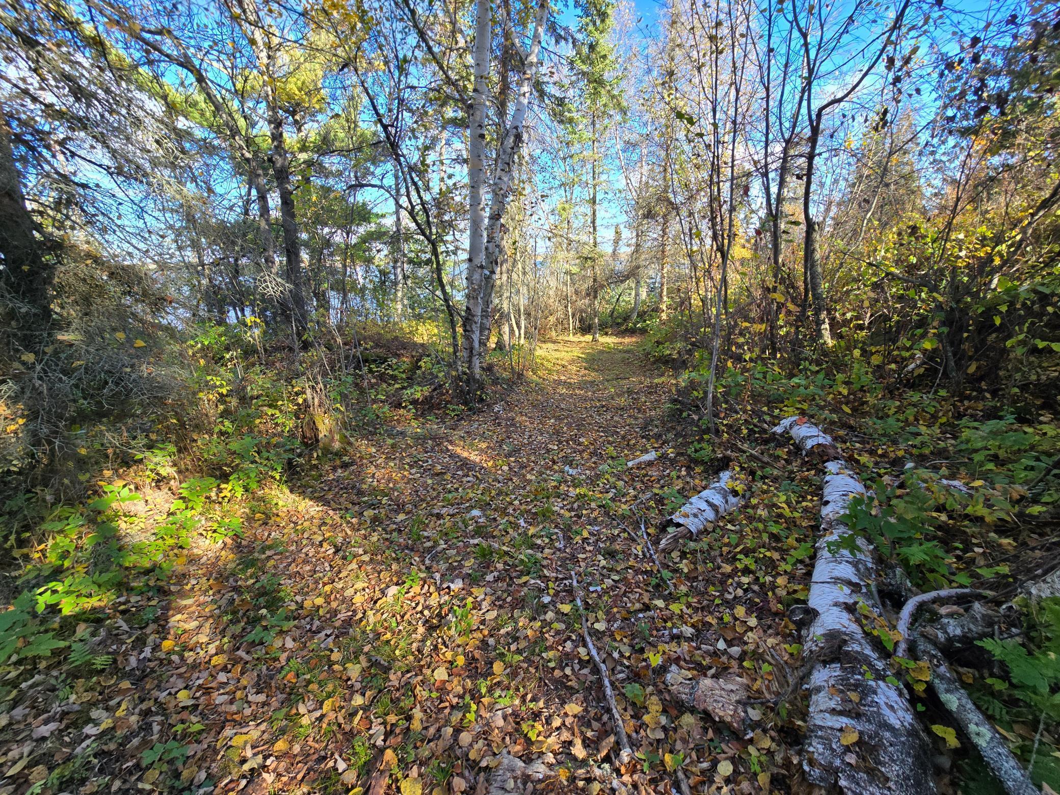 Tract 8 Brush Island, Angle Inlet, Minnesota image 20