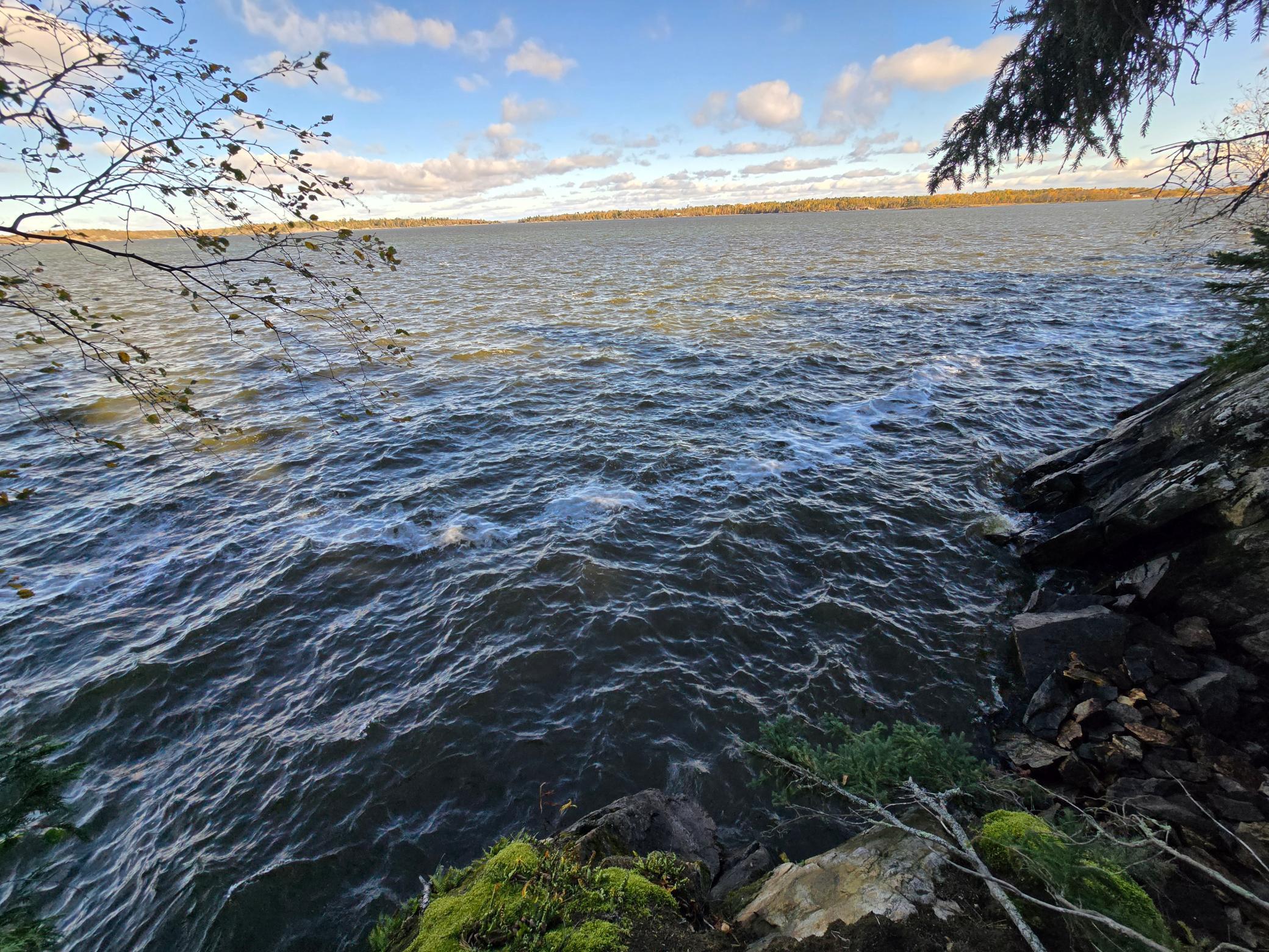 Tract 8 Brush Island, Angle Inlet, Minnesota image 2