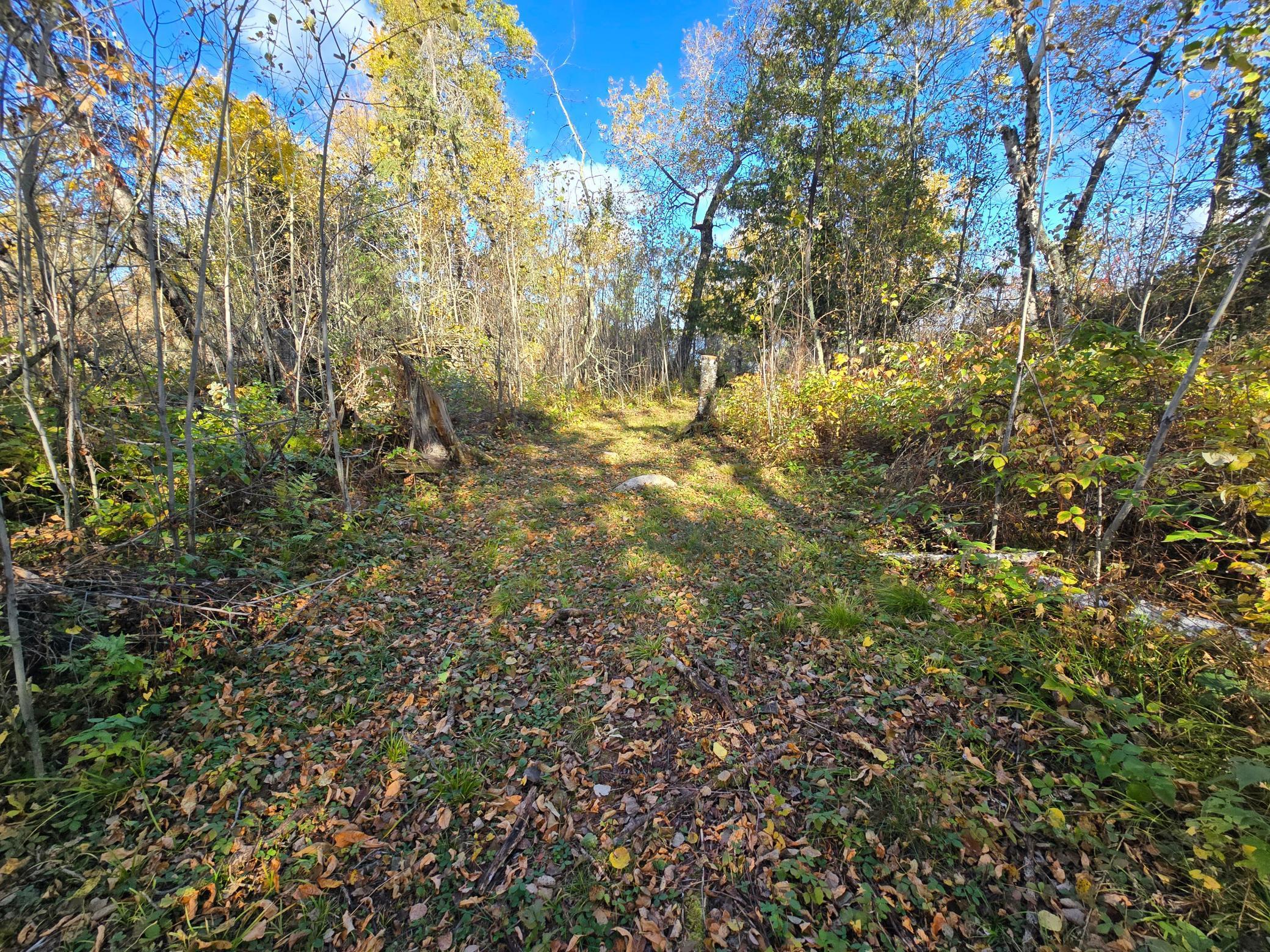 Tract 8 Brush Island, Angle Inlet, Minnesota image 19