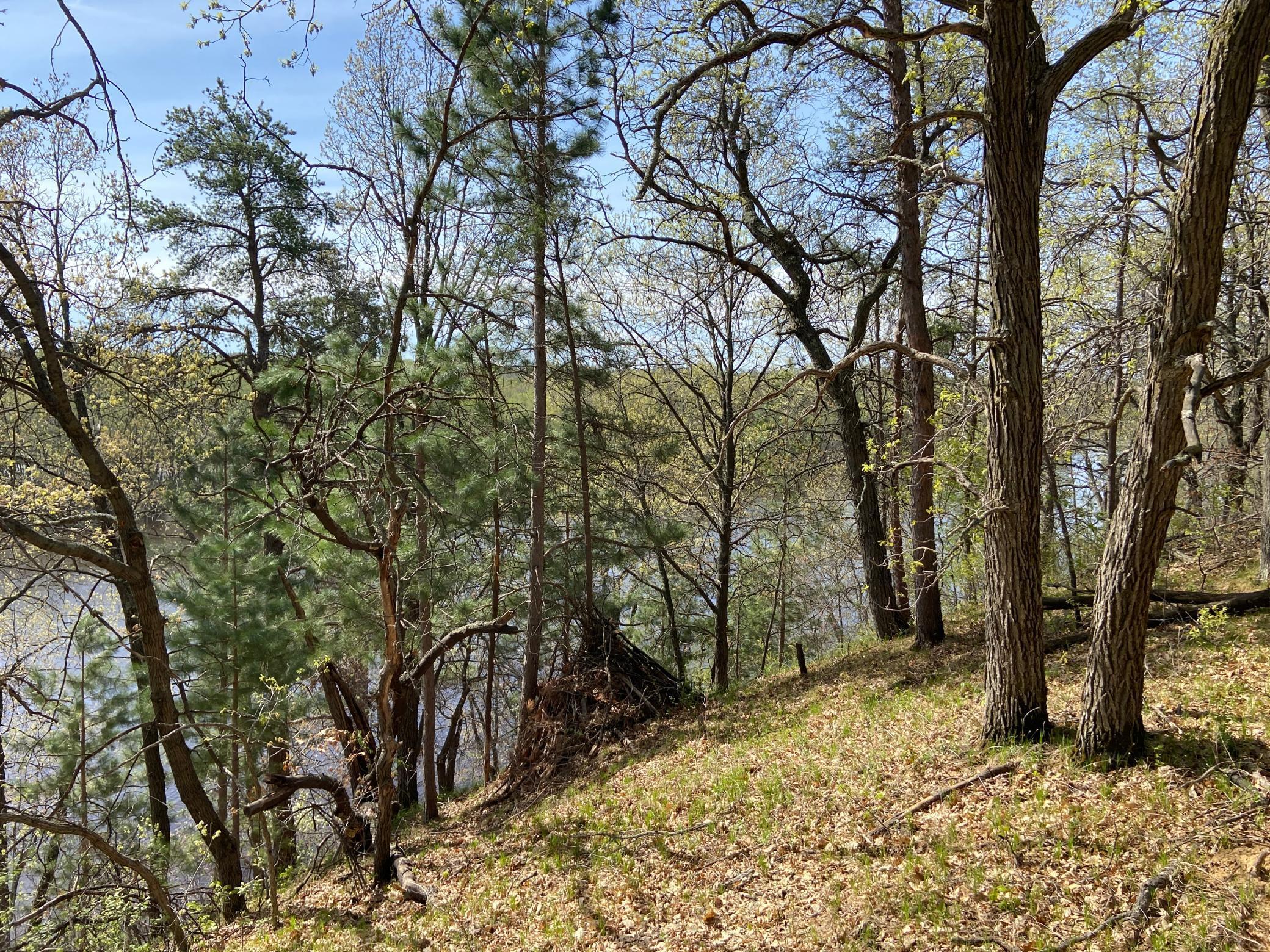 TBD Eagle Ridge, Baxter, Minnesota image 3
