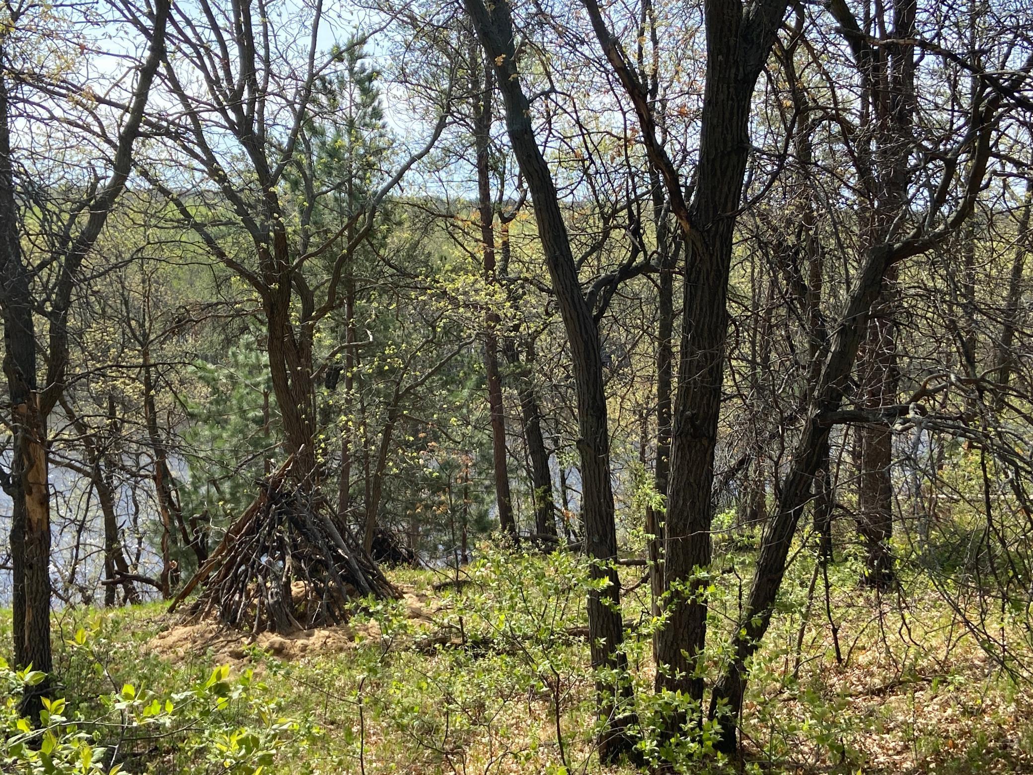 TBD Eagle Ridge, Baxter, Minnesota image 5