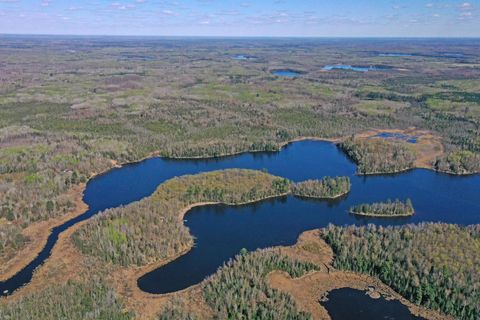 Vacant Land For Sale - 26810 N Hart Lake Road<br/> Itasca County, Pengilly, MN 55775